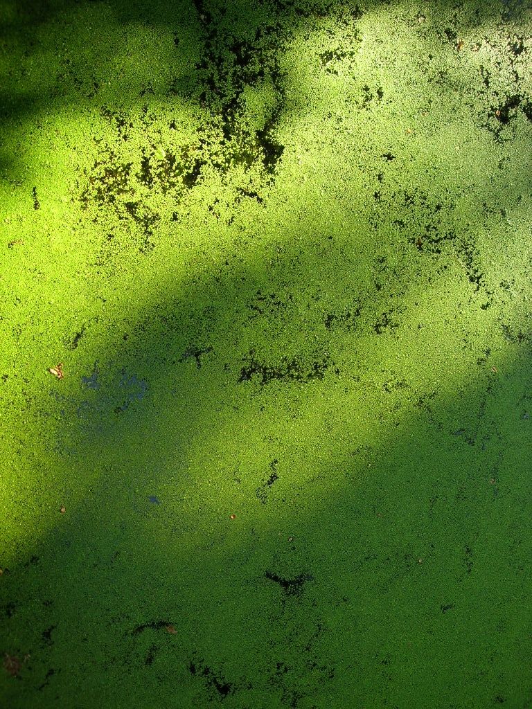 industrial photo